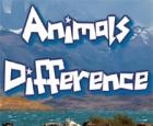 Animal Differences