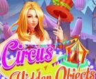 Circus Hidden Objects