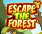 Escape the Forest