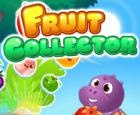 Fruit Collector