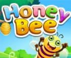 Honey Bee