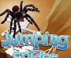 Jumping Spider