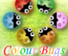 Bichos de colores