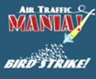 Air Traffic Mania: Bird Strike!