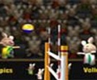 Voleibol BunnyLimpics