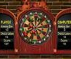 Dart Champion