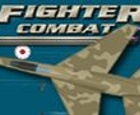 Fighter Combat