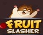 Fruit Slasher