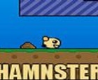 HAMNSTER