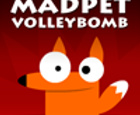 MADPET-VOLLEYBOMB