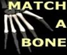 Match-A-Bone