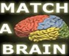 Match-A-Brain