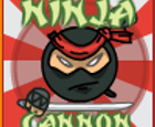 NinjaCannon