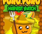 Puru Puru Harvest Match