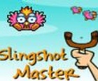 Slingshot Master