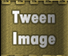 Tween Image Memmory