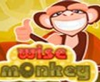 Wise Monkey