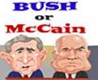 Bush or McCain?