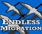 Endless Migration