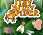 Itsy Bitsy Spider