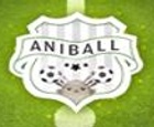 Aniball