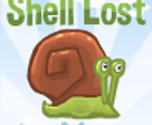 Shell lost