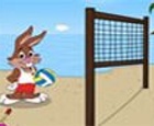 bugs bunny Voley playa