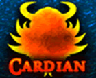 Cardian, el juego de cartas.