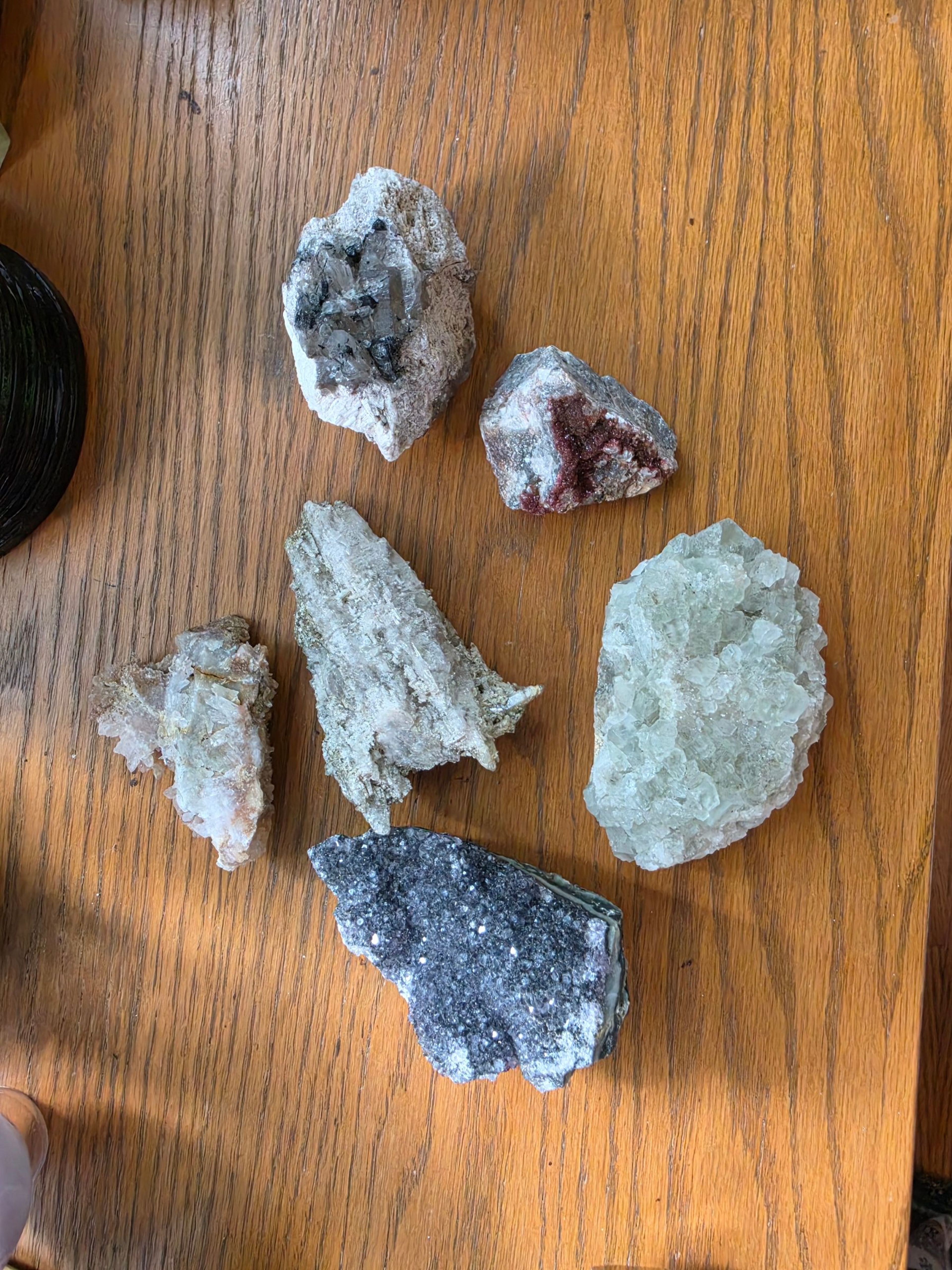 Raw Specimen Bundle