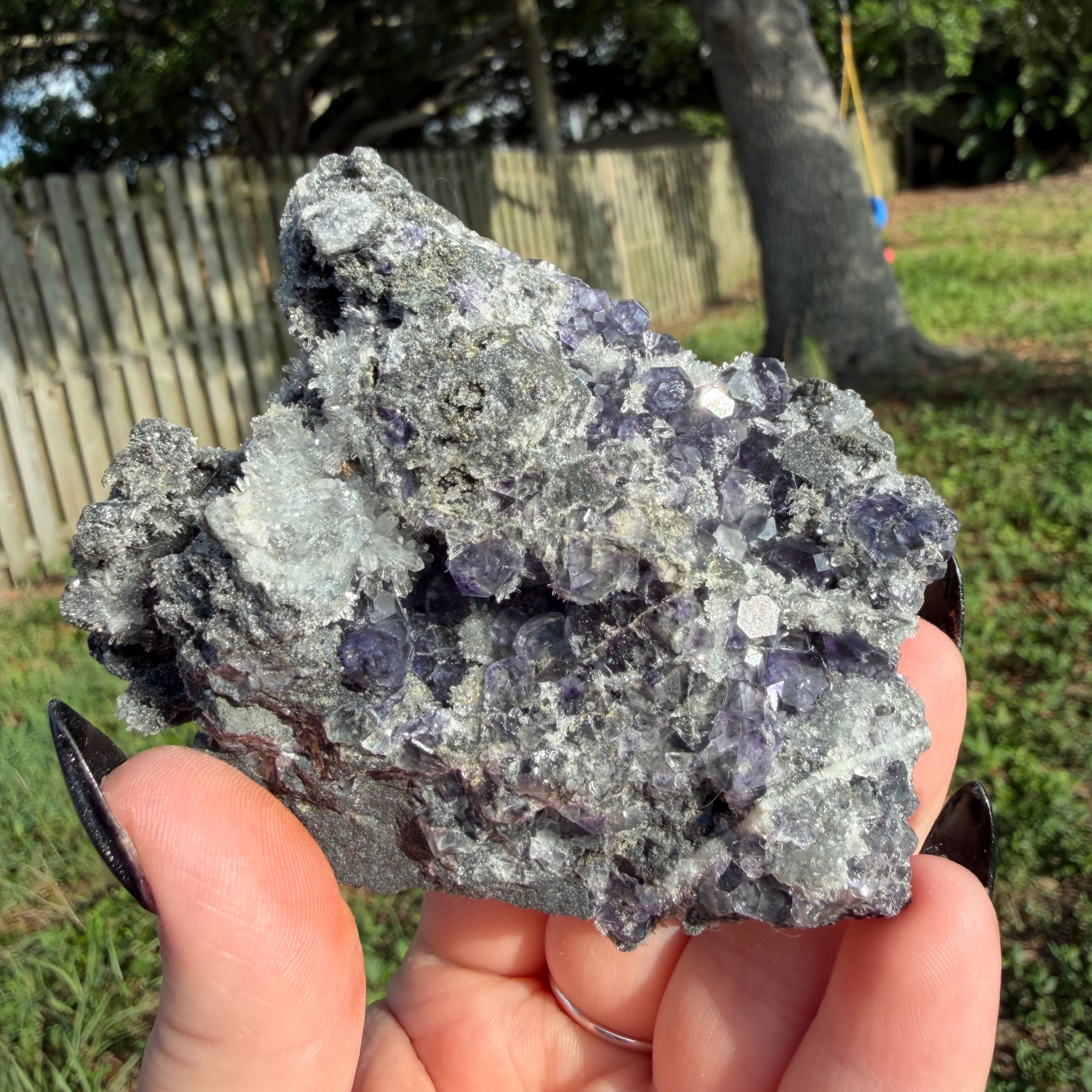 Tanzanite Flourite
