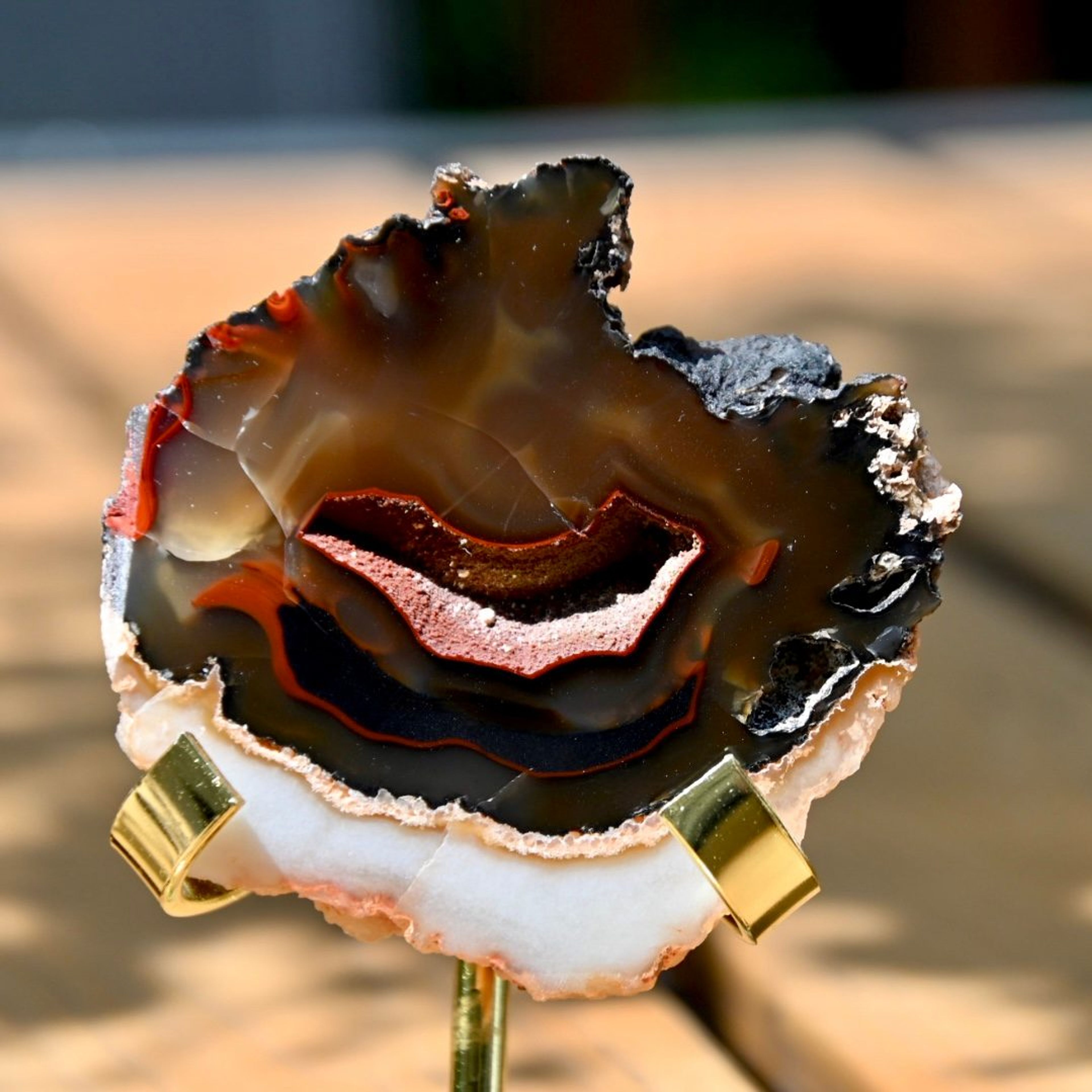 Red Fox Agate Slice from Patagonia, Argentina | Mirror Polish | 2.5 inches
