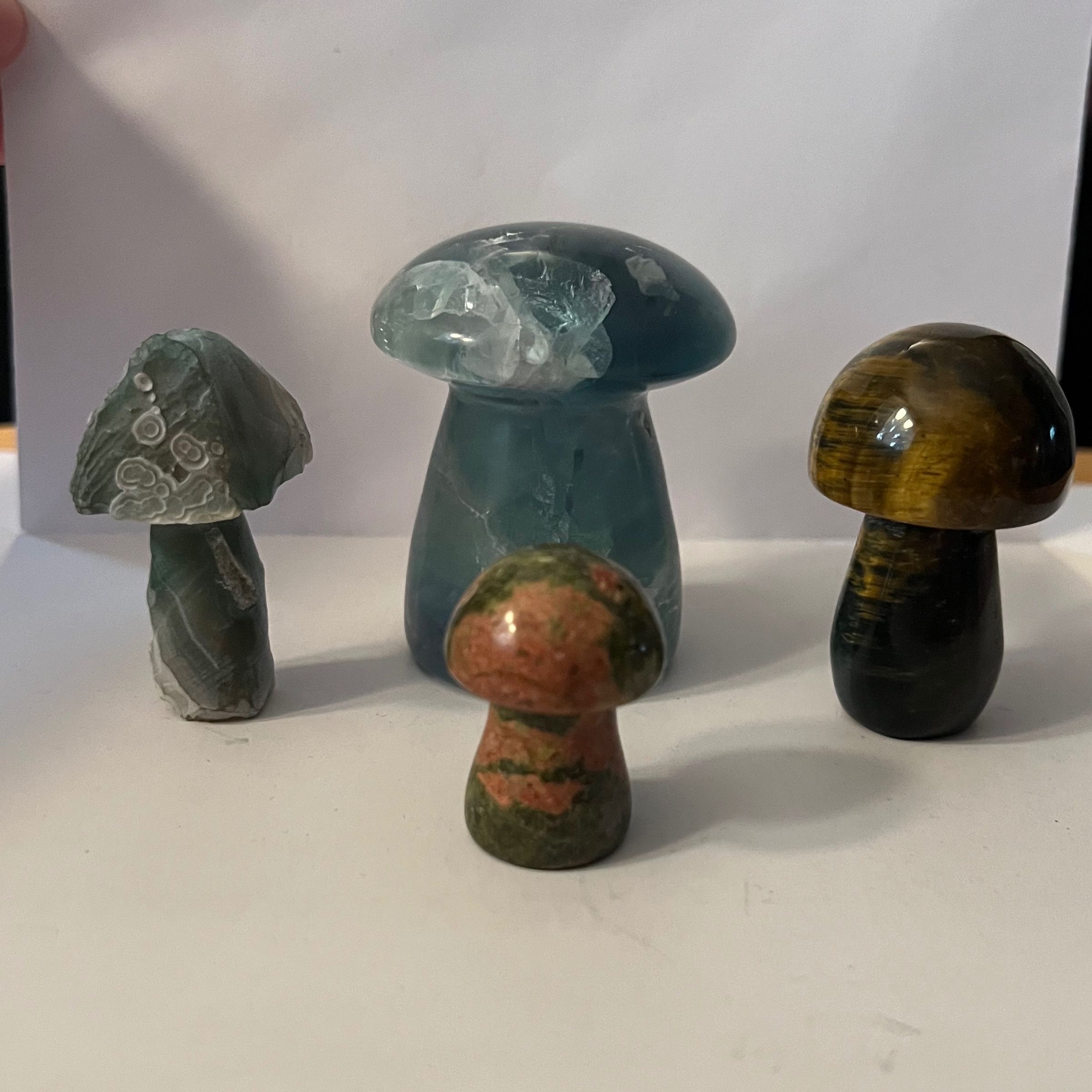 Mushroom Bundle