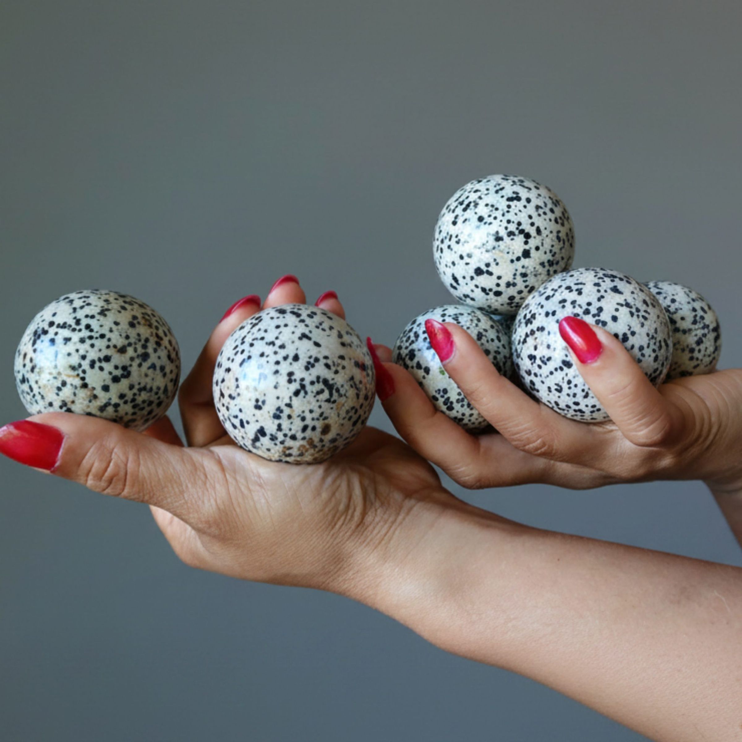 Lot of 7 Dalmatian Jasper Sphere Bundle Spotted Crystal Ball