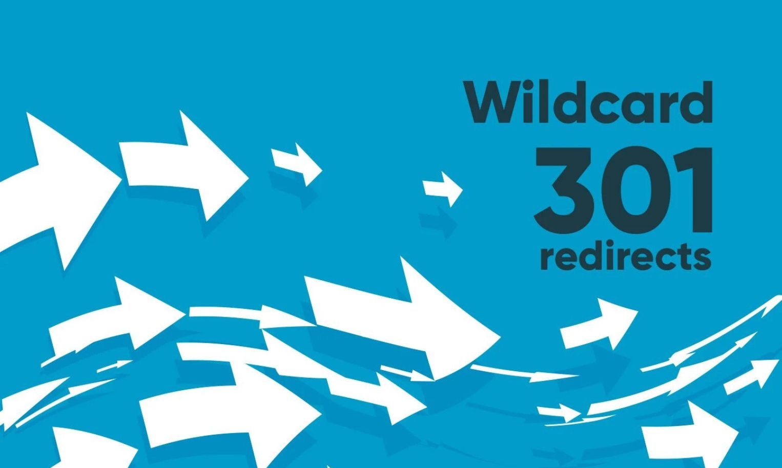 *Wildcard Redirects: Boost SEO by Routing *.domain.com to Main Site