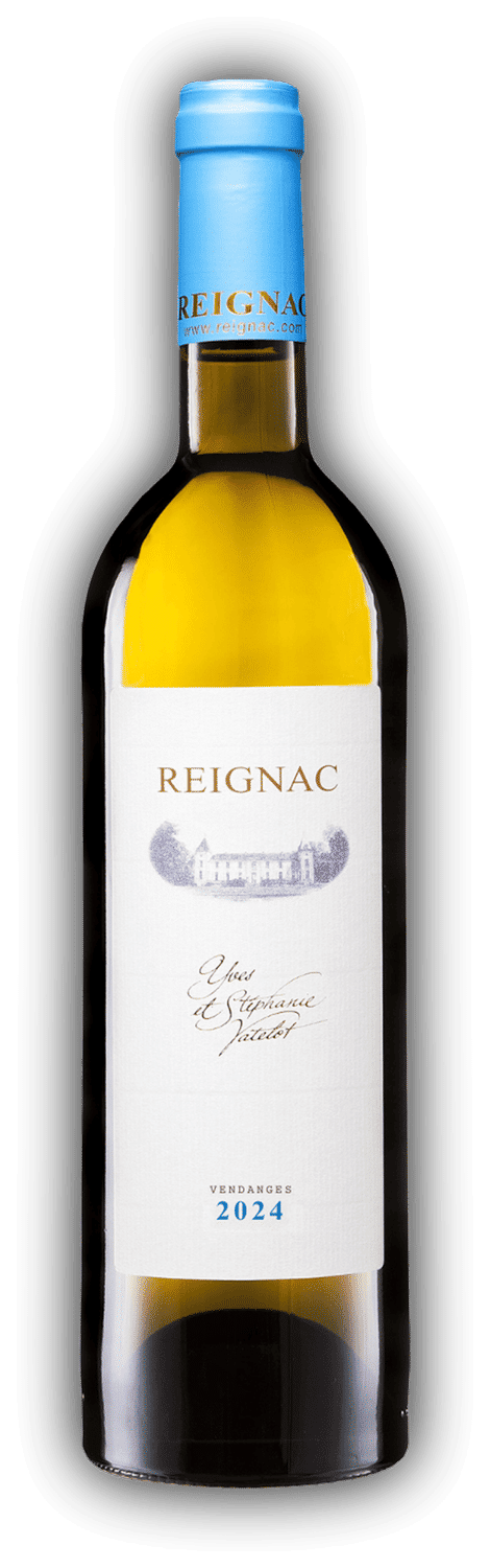 2024 Blanc