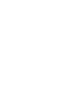 Minh Tran