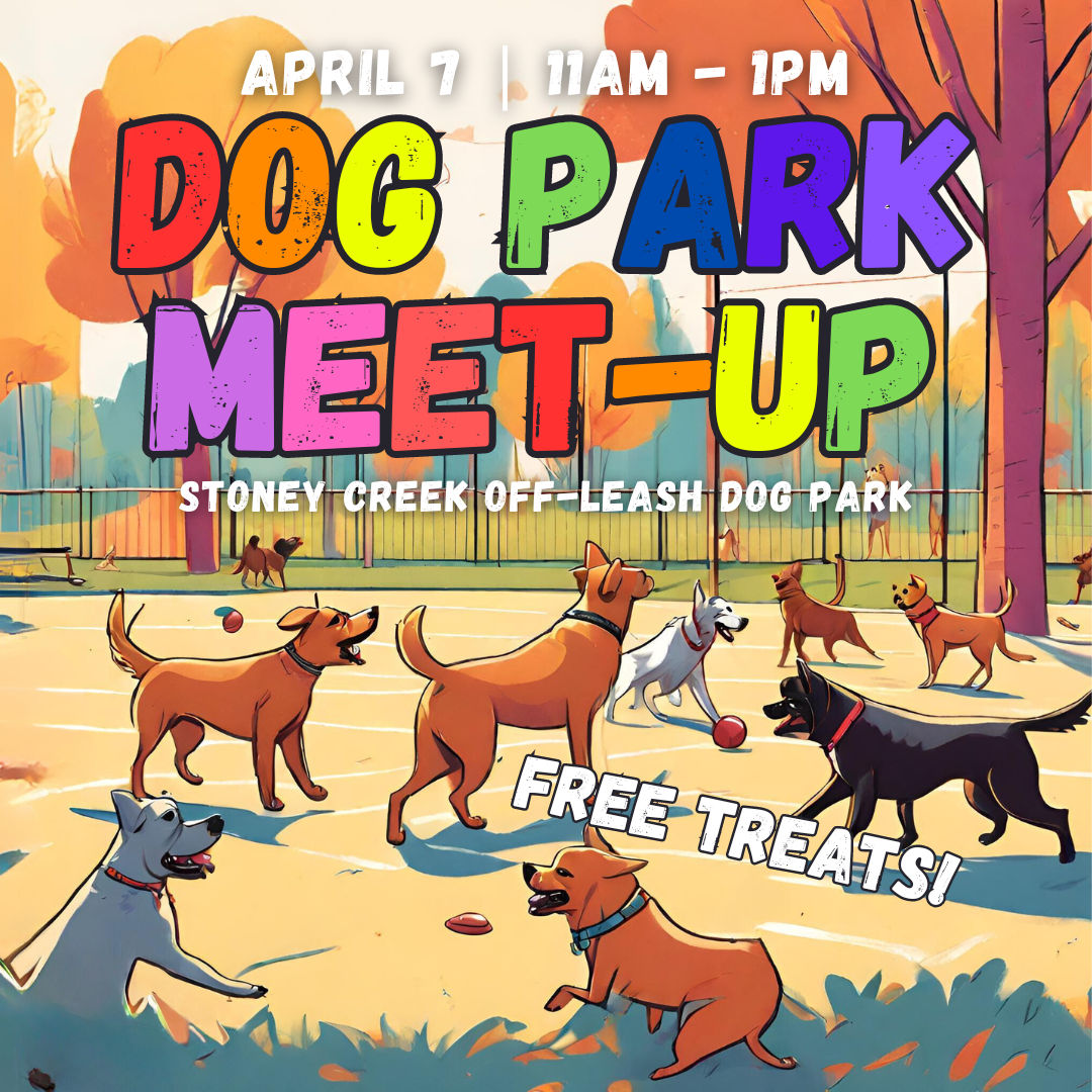 Dog Park Meet-Up