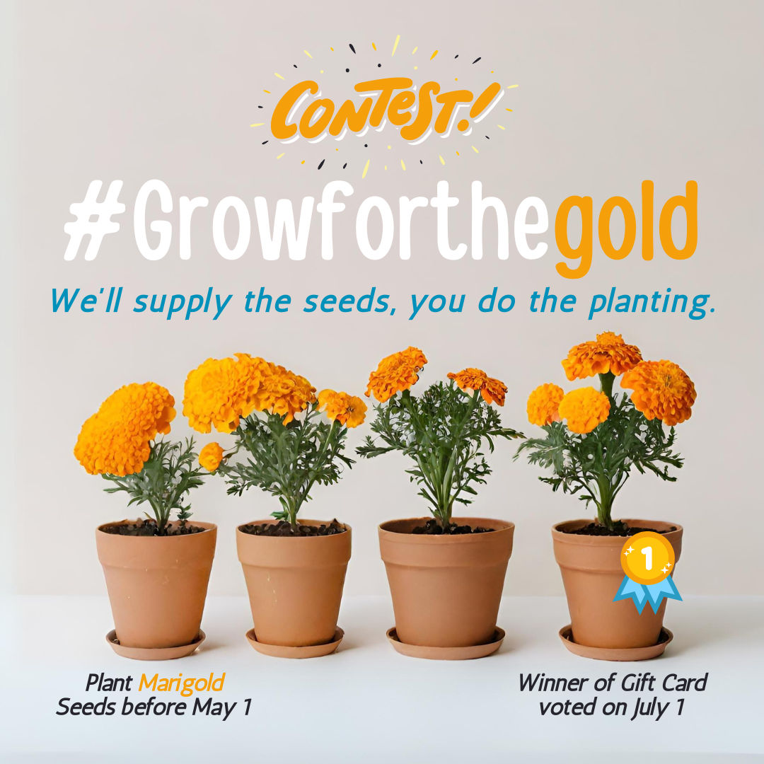 Contest | #Growforthegold