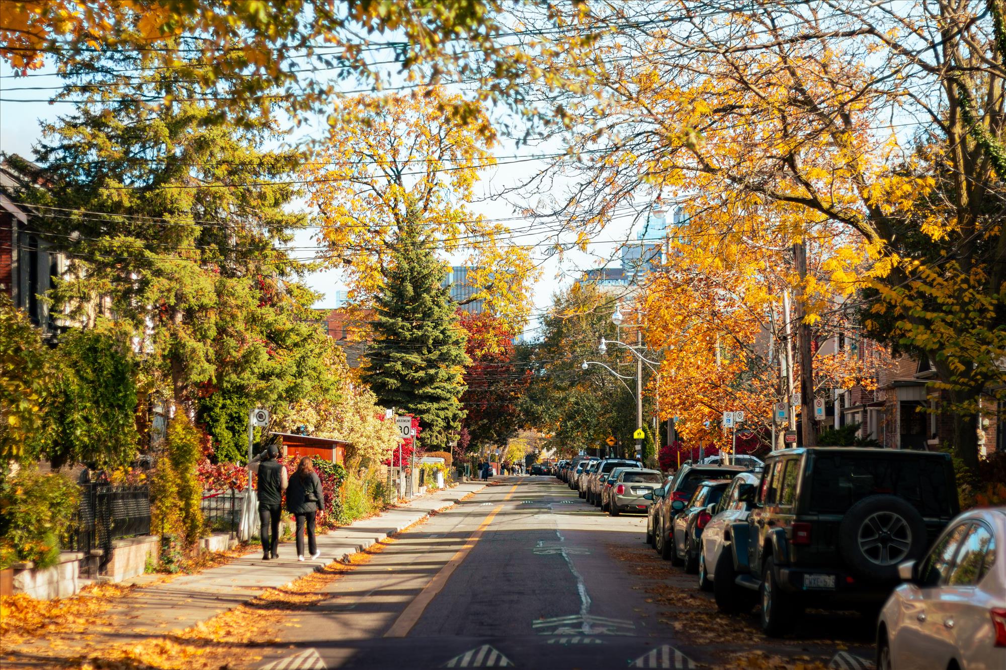Toronto Events for October