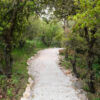 Walking along the Roe Deer Trail, Ajloun Forest Reserve, Jordan