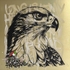 Long Life My Homeland