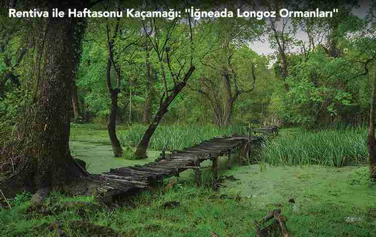 Rentiva ile Haftasonu Kaçamağı: "İğneada Longoz Ormanları"