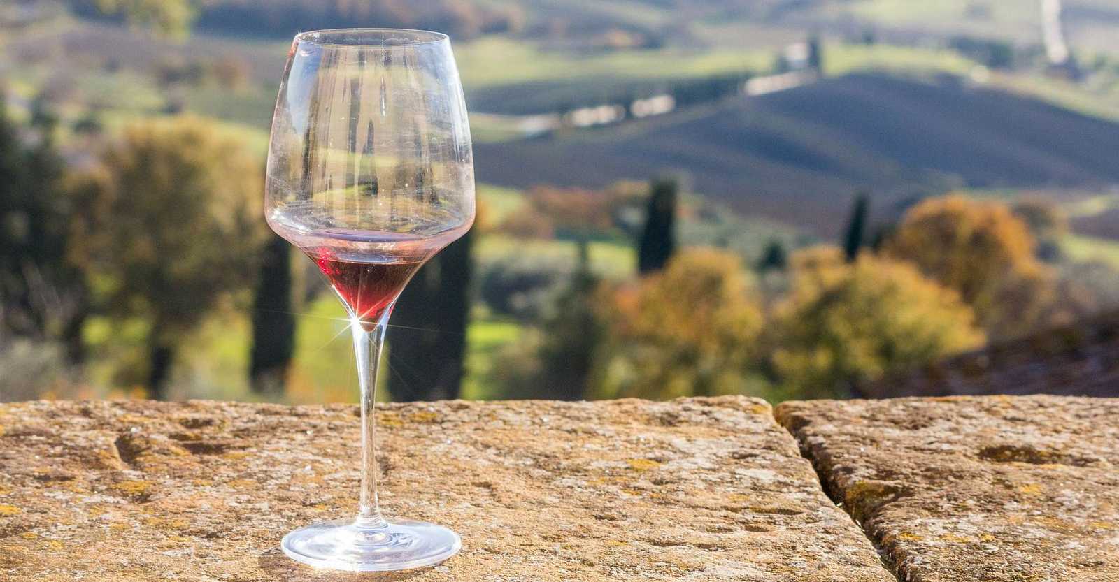 tuscany-wine landscape