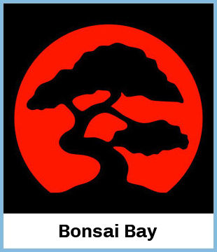 Bonsai Bay Upcoming Tours & Concerts In Newcastle