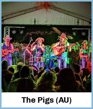 The Pigs (AU) Upcoming Tours & Concerts In Newcastle