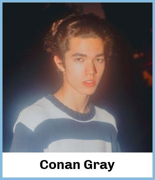 Conan Gray Upcoming Tours & Concerts In Brisbane