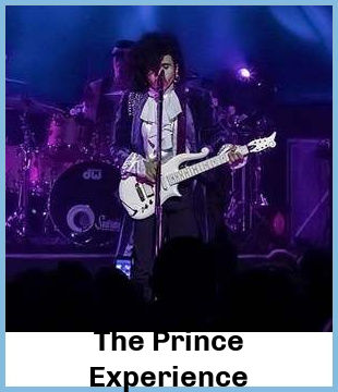 The Prince Experience Upcoming Tours & Concerts In Sydney