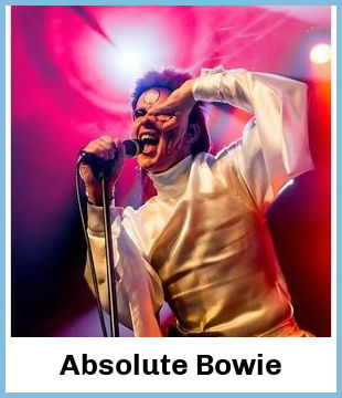 Absolute Bowie Upcoming Tours & Concerts In Brisbane