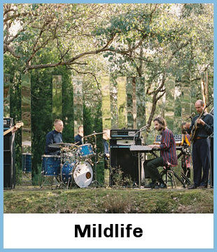 Mildlife Upcoming Tours & Concerts In Melbourne