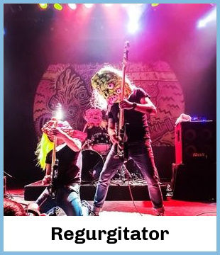 Regurgitator Upcoming Tours & Concerts In Melbourne